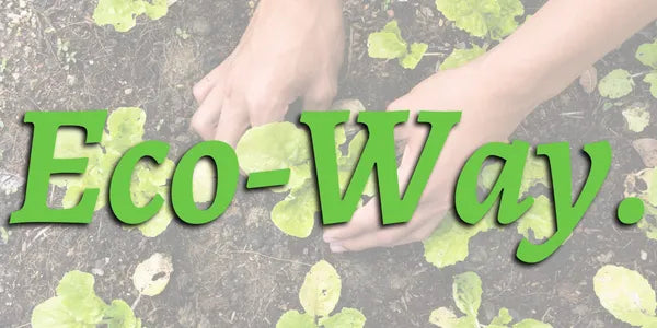 Text 'Eco-Way' with hands holding green leaves on a textured background