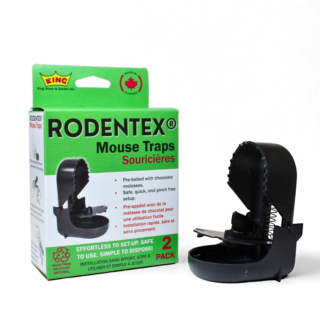 Rodentex Mouse trap-2 pack